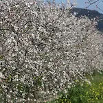 139 Finca Son Sitges Etv6719 By Mallorca Charme