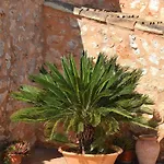 139 Finca Son Sitges Etv6719 By Mallorca Charme
